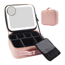 Cosmetic Travel Case With Magnify LED Mirror