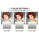 Cosmetic Travel Case With Magnify LED Mirror